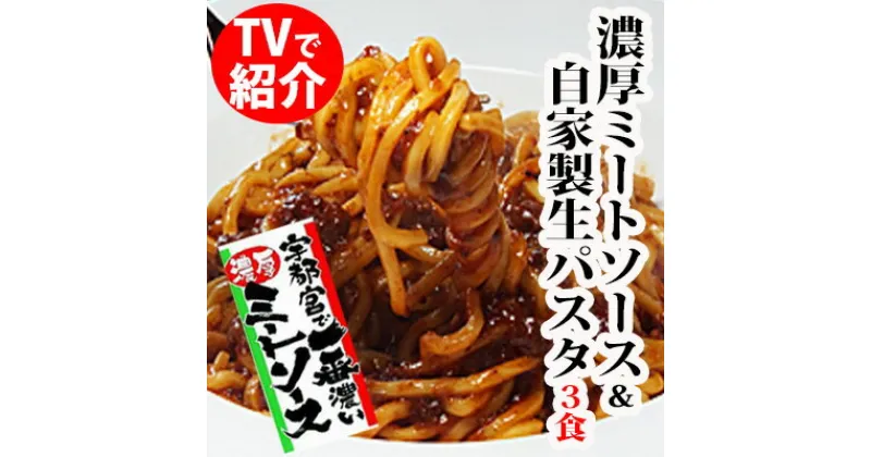 【ふるさと納税】宇都宮の 濃厚ミートソース & 生パスタ 3食セット ｜ パスタ 麺 パスタソース セット 栃木県 宇都宮市