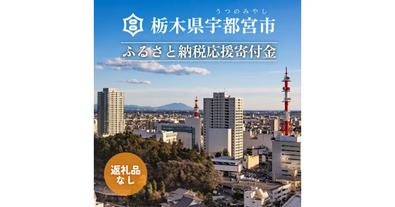 【ふるさと納税】栃木県宇都宮市への寄付　10,000円（返礼品はありません）