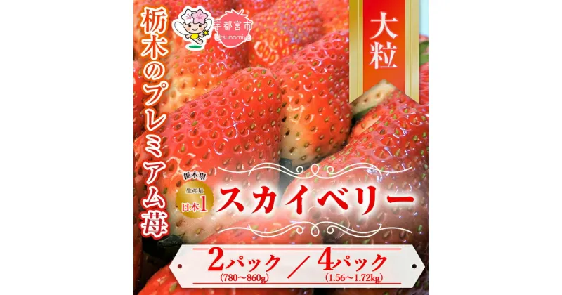 【ふるさと納税】【先行予約】【選べる内容量】スカイベリー 2パック または 4パック | いちご 栃木 スカイベリー 甘い 糖度 旬 新鮮 フルーツ 果物 アレンジ スイーツ いちごジャム フルーツサンド　※離島への配送不可　※2025年1月中旬～3月下旬頃に順次発送予定