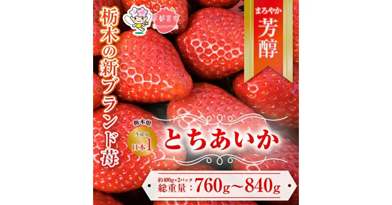 【ふるさと納税】【先行予約】とちあいか 約380g～420g×2パック | いちご 栃木 とちあいか 甘い 糖度 旬 新鮮 フルーツ 果物 アレンジ スイーツ いちごジャム フルーツサンド　※離島への配送不可　※2025年1月中旬～3月下旬頃に順次発送予定