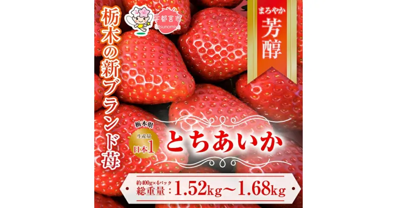 【ふるさと納税】【先行予約】とちあいか 約380g～420g×4パック | いちご 栃木 とちあいか 甘い 糖度 旬 新鮮 フルーツ 果物 アレンジ スイーツ いちごジャム フルーツサンド　※離島への配送不可　※2025年1月中旬～3月下旬頃に順次発送予定