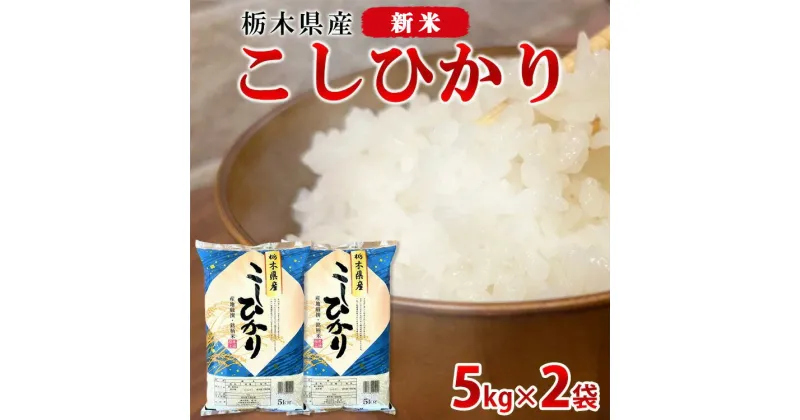 【ふるさと納税】【令和6年産・新米】栃木県産こしひかり10kg（精米・5kg×2袋）　※離島への配送不可