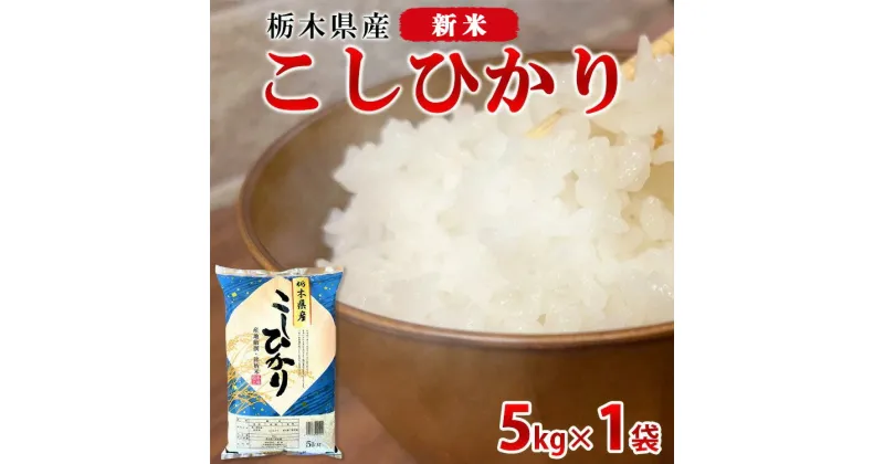 【ふるさと納税】【令和6年産・新米】栃木県産こしひかり（精米・5kg×1袋）　※離島への配送不可