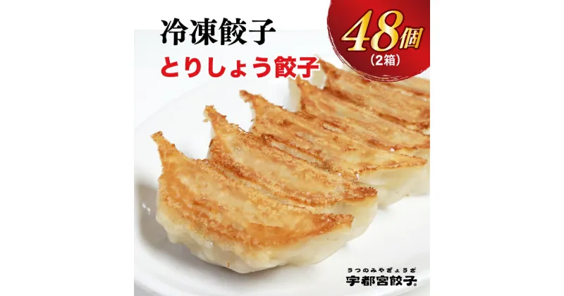 【ふるさと納税】【とりしょう】餃子　24個入り×2箱【ぎょうざ ギョウザ ギョーザ 冷凍食品 冷凍餃子 惣菜 夜ご飯 おかず おつまみ 手軽 時短 お取り寄せ グルメ 送料無料 栃木県 宇都宮市】※着日指定不可※北海道・沖縄・離島への配送不可