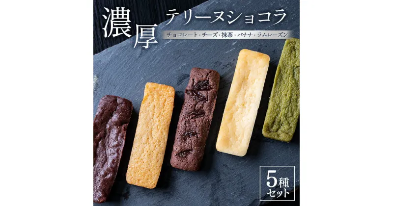 【ふるさと納税】テリーヌショコラ 5種セット （チョコレート・チーズ・抹茶・バナナ・ラムレーズン）※着日指定不可※離島への配送不可