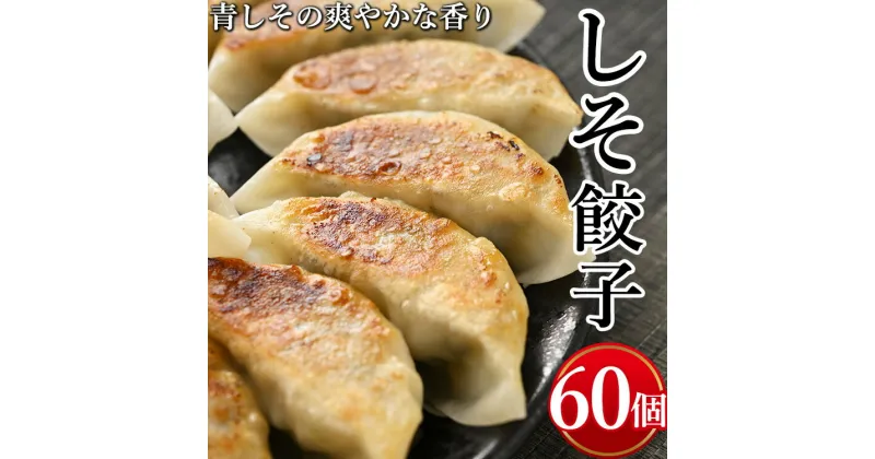 【ふるさと納税】しそ餃子　計60個(20個入り×3)※着日指定不可