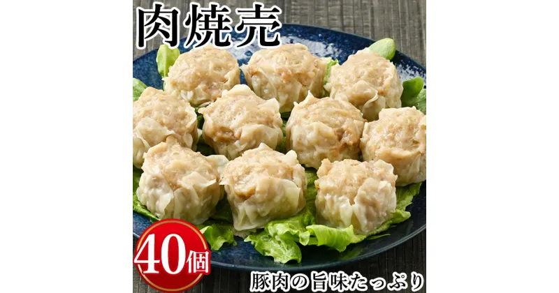 【ふるさと納税】肉焼売　計40個(10個入り×4)※着日指定不可