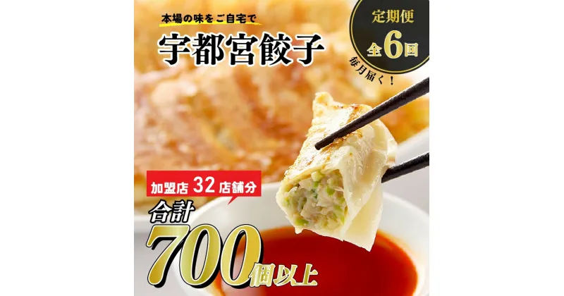 【ふるさと納税】【6ヶ月定期便】宇都宮餃子　32店舗定期便　計700個以上 ｜ ぎょうざ ギョウザ ギョーザ 冷凍食品 冷凍餃子 惣菜 夜ご飯 おかず おつまみ 手軽 時短 お取り寄せ グルメ 送料無料 栃木県 宇都宮市※着日指定不可