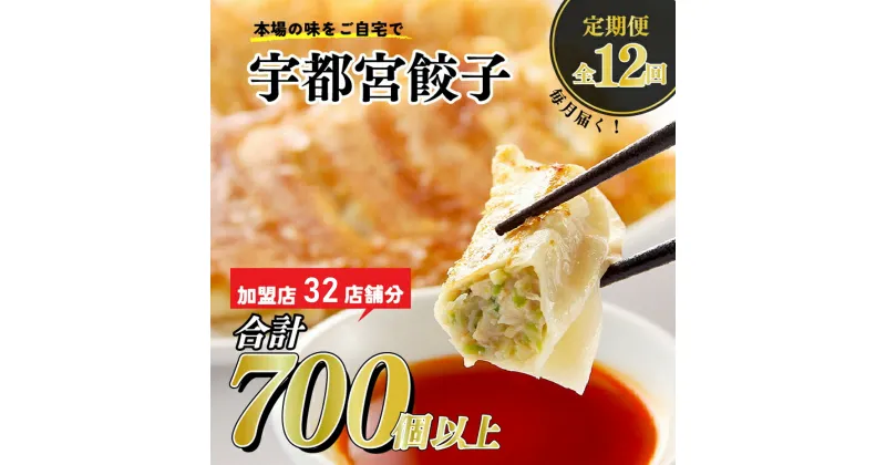 【ふるさと納税】【12ヶ月定期便】宇都宮餃子　32店舗定期便　計700個以上 ｜ ぎょうざ ギョウザ ギョーザ 冷凍食品 冷凍餃子 惣菜 夜ご飯 おかず おつまみ 手軽 時短 お取り寄せ グルメ 送料無料 栃木県 宇都宮市※着日指定不可