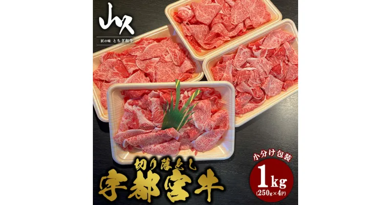 【ふるさと納税】宇都宮牛　切り落とし　計1kg(250g×4P)※着日指定不可