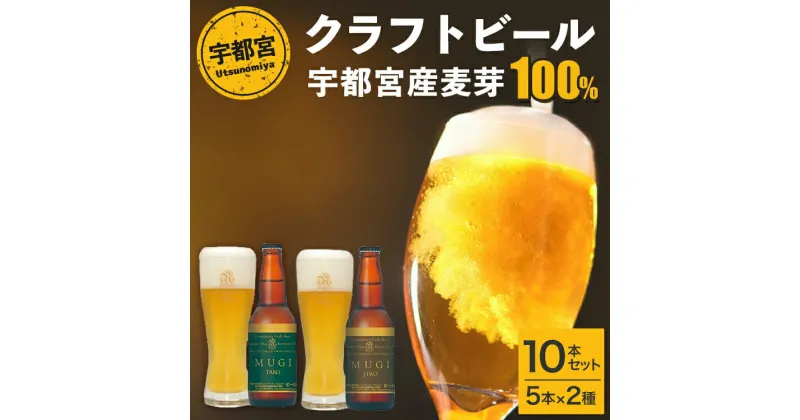 【ふるさと納税】宇都宮 クラフトビール 宇都宮産麦芽100%コンビ 10本セット(各330ml)【 ビール ギフト 飲み比べ 栃木県 宇都宮市 】※離島への配送不可