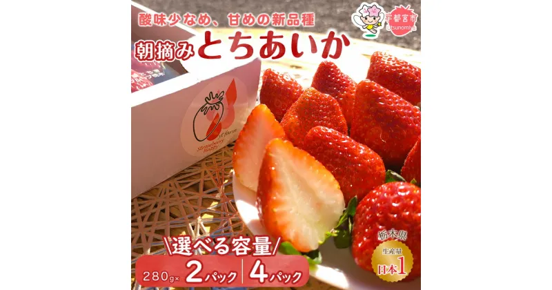 【ふるさと納税】【選べる容量】朝摘み とちあいか 280g 2パック または 4パック | いちご 栃木 とちあいか 甘い 糖度 旬 新鮮 フルーツ 果物 アレンジ スイーツ いちごジャム フルーツサンド ※離島への配送不可 ※2025年1月～3月頃に順次発送予定