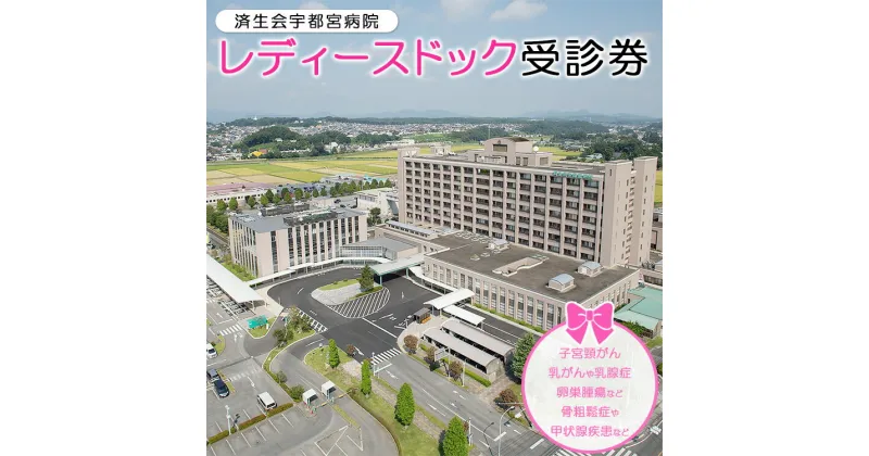 【ふるさと納税】レディースドック受診券※着日指定不可