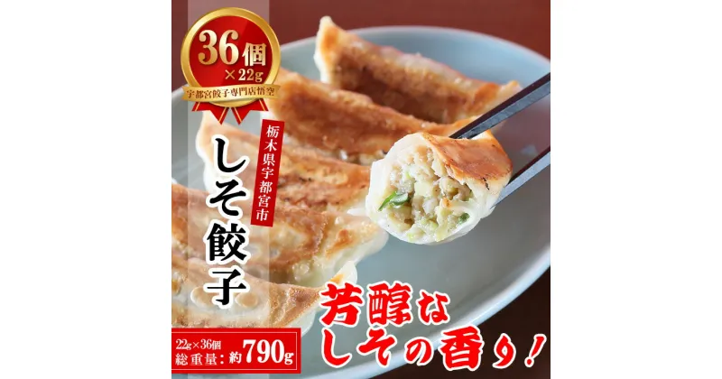 【ふるさと納税】宇都宮餃子専門店 悟空 しそ餃子 22g×36個入｜餃子 冷凍 ぎょうざ ギョーザ 惣菜 国産野菜 国産豚肉 おかず 弁当 晩酌 おつまみ お取り寄せ グルメ 簡単調理 お手軽 時短 冷凍食品 栃木県 宇都宮市 ※離島への配送不可