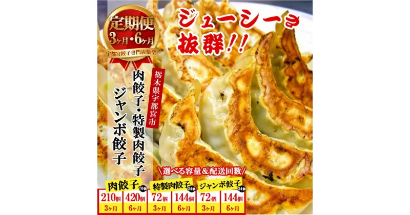 【ふるさと納税】【定期便】【選べる配送回数】宇都宮餃子専門店 悟空 肉餃子 特製肉餃子 ジャンボ餃子 3ヶ月 6ヶ月 ※離島への配送不可