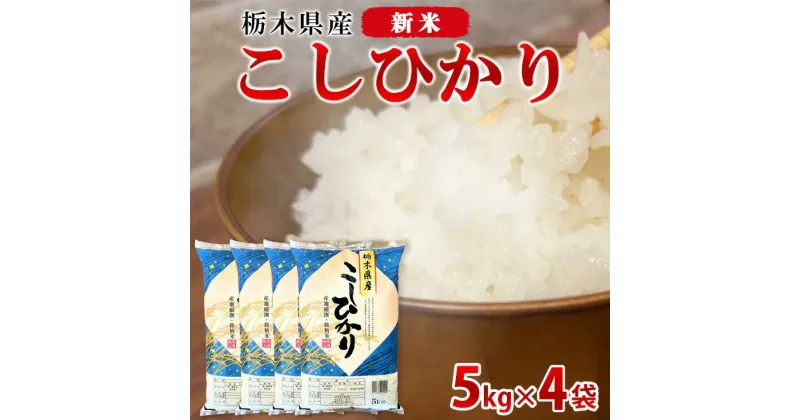 【ふるさと納税】【令和6年産・新米】栃木県産こしひかり（精米・5kg×4袋）　※離島への配送不可