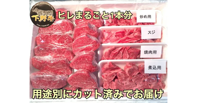 【ふるさと納税】「下野牛」ヒレまるごと1本【ブランド牛の肉 下野牛のお肉 調理用 たっぷりお肉 満足できる逸品 メイン料理 おかず料理 プチ贅沢 各種お肉 たっぷり一本 栃木県 足利市 】