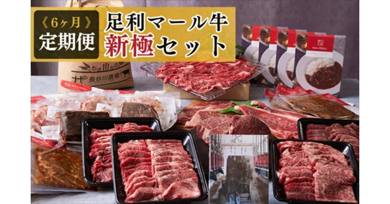 【ふるさと納税】農場直送！足利マール牛 6ヶ月定期便『新極』【牛 肉 冷凍 お取り寄せ グルメ 高級 サーロインステーキ 和牛 ギフト お中元 お歳暮 母の日 父の日 敬老の日 栃木県 足利市 】