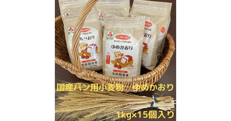 【ふるさと納税】【栃木県産小麦】ゆめかおり1 kg×15個【 強力小麦 パン用強力粉 パン用粉 小麦粉 小麦粉 小麦 パン作り 食パン ホームベーカリー パン材料 パン こむぎこ 麦 粉 ぱん メリケン粉 栃木県 足利市 】