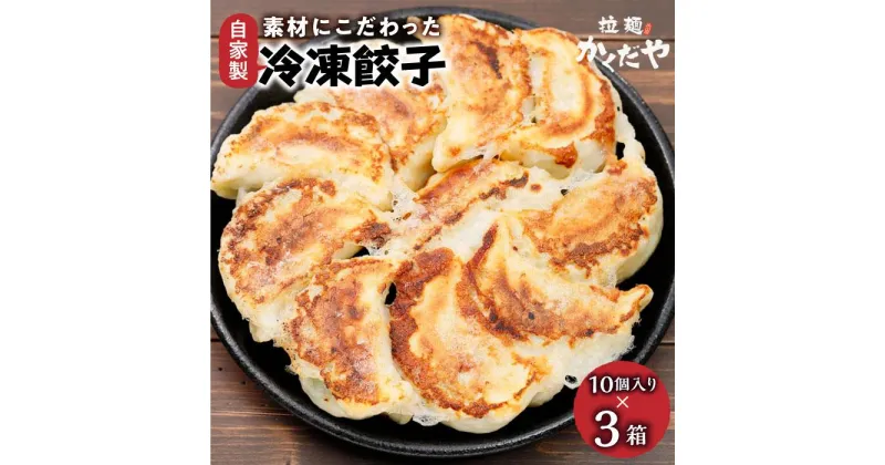 【ふるさと納税】素材にこだわった自家製冷凍餃子 | ぎょうざ 大容量 冷凍 国産 お取り寄せ グルメ 人気 おススメ 肉 お肉 野菜 栃木県 栃木市