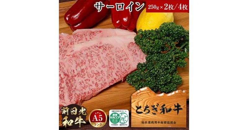 【ふるさと納税】とちぎ和牛・前日光和牛（サーロイン250g×2枚／4枚）｜肉 お肉 和牛 最高級 A5ランク A5等級 ステーキ | お肉 牛肉 にく