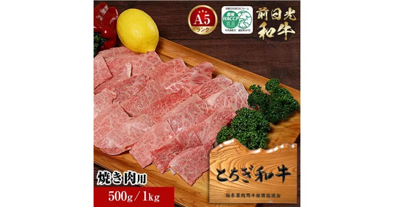 【ふるさと納税】とちぎ和牛・前日光和牛（焼き肉用カルビ500g／1kg）｜肉 お肉 和牛 最高級 A5ランク A5等級 焼肉 | お肉 牛肉 にく