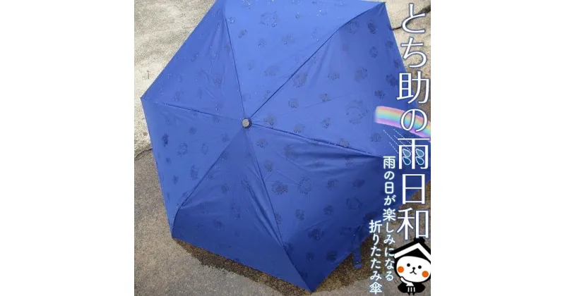 【ふるさと納税】とち介の雨日和～雨の日が楽しみになる傘～(折りたたみ傘)