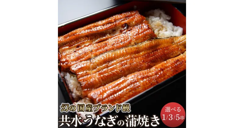 【ふるさと納税】幻の国産ブランド鰻　共水うなぎのかば焼き　1串（約115g）／3串（約115g×3）／5串（約115g×5）　タレ・山椒付き　極上の甘みとうまみ、ふっくらとした食感 | 極上 甘み うまみ ふっくら 食感 鰻 蒲焼き 蒲焼 かばやき 鰻重 鰻丼 ご当地