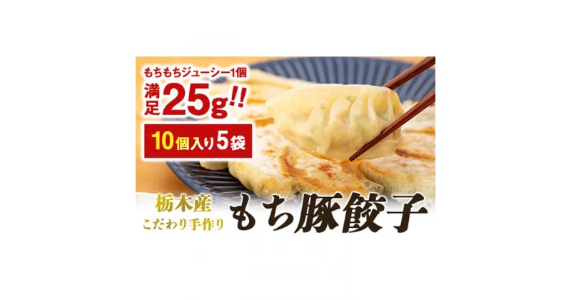 【ふるさと納税】栃木産こだわり手作りもち豚餃子 | 食品 冷凍食品 惣菜 餃子 手作り 国産