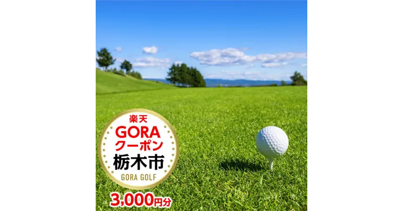 【ふるさと納税】栃木県栃木市の対象ゴルフ場で使える楽天GORAクーポン 寄付額10,000円 楽天限定 チケット ゴルフ