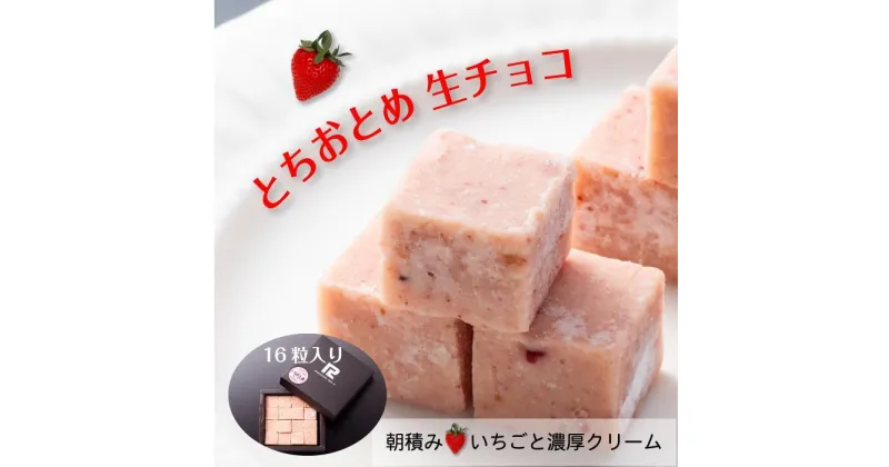 【ふるさと納税】 【ふるさと納税】 とちおとめ 生チョコレート（16粒入り） 栃木 とちぎ産 いちご イチゴ 苺 スイーツ 通販 お取り寄せ | 栃木 とちぎ産 いちご イチゴ 苺 スイーツ 通販 お取り寄せ 菓子 おかし 食品 人気 おすすめ 送料無料