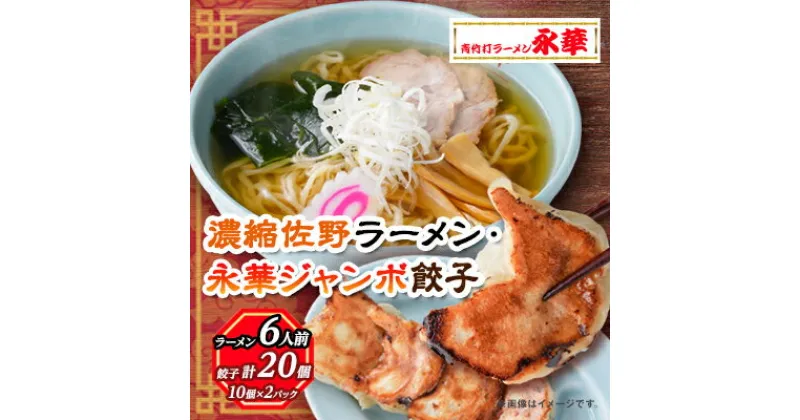 【ふるさと納税】佐野餃子(大)10個2人前×2パックと濃縮佐野ラーメン6人前【配送不可地域：離島・沖縄県】【1061579】