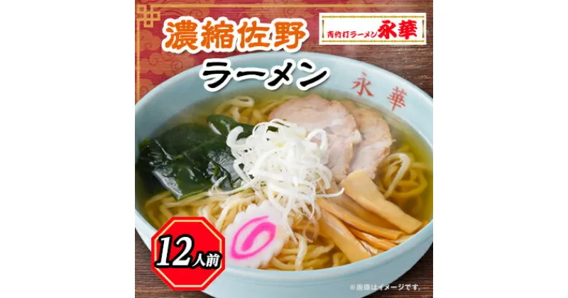 【ふるさと納税】濃縮佐野ラーメン12人前 【離島・沖縄県不可】【配送不可地域：離島・沖縄県】【1077729】