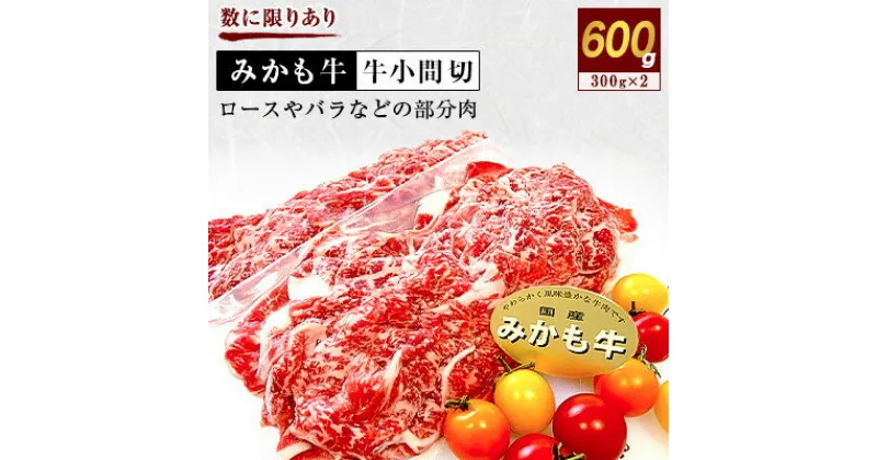 【ふるさと納税】「みかも牛」牛小間切600g(300g×2)【配送不可地域：離島】【1257310】