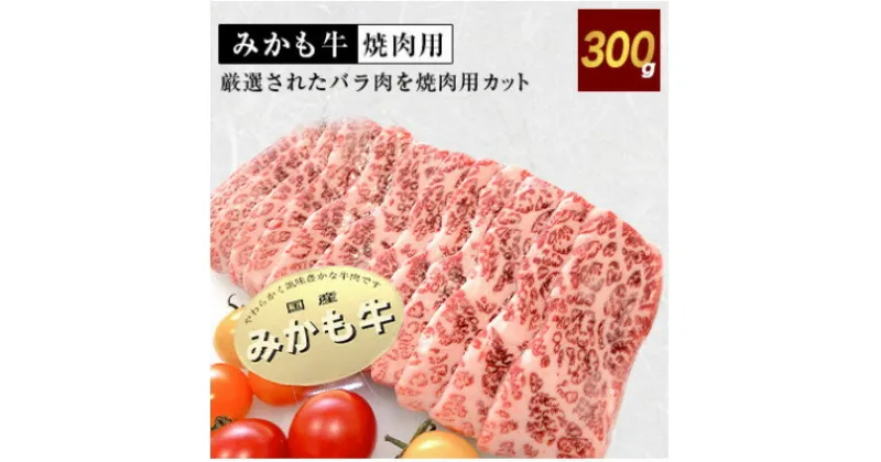 【ふるさと納税】「みかも牛」焼肉用300g【配送不可地域：離島】【1257318】