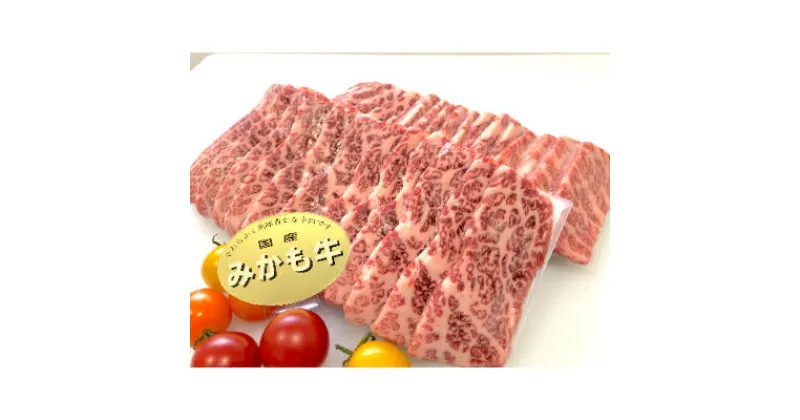 【ふるさと納税】「みかも牛」焼肉用600g(300gx2)【配送不可地域：離島】【1257319】