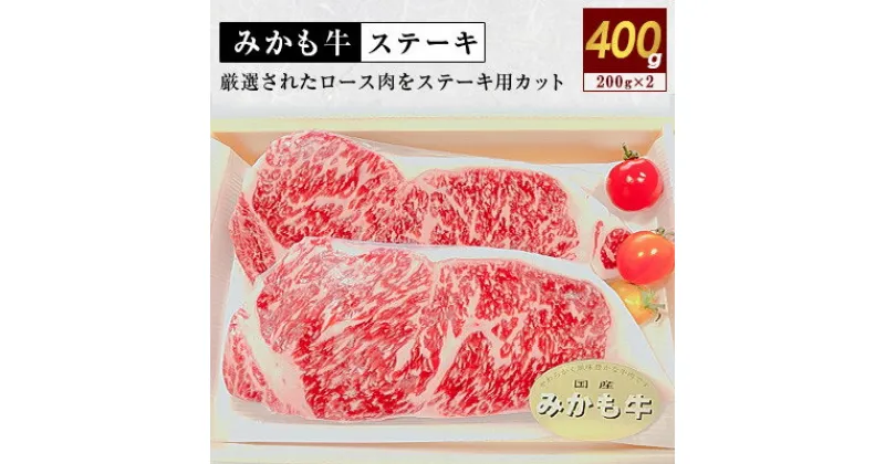 【ふるさと納税】「みかも牛」ステーキ400g(200gx2枚)【配送不可地域：離島】【1257323】