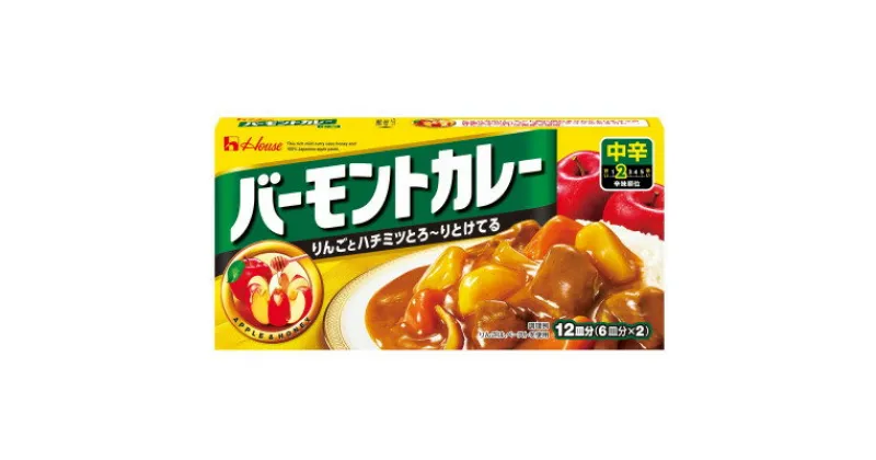 【ふるさと納税】ハウス食品　バーモントカレー【中辛】　230g×10箱【1467447】