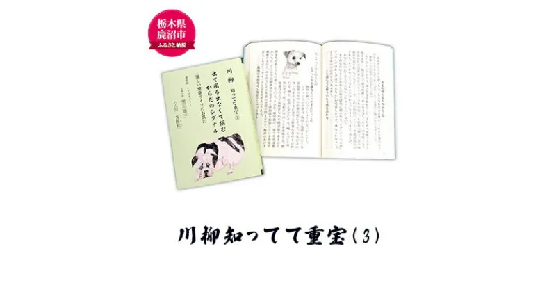 【ふるさと納税】川柳知ってて重宝(3) 本 書籍　本・DVD　お届け：入金確認後 14日～1ヶ月