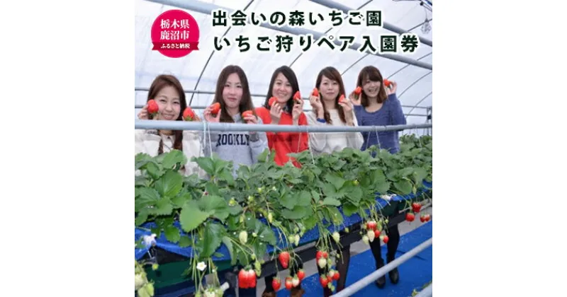 【ふるさと納税】出会いの森 いちご園 いちご狩り ペア入園券 チケット 入場券 優待券　チケット・入場券・優待券