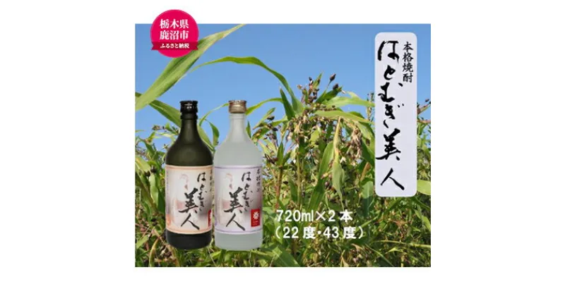 【ふるさと納税】【栃木県 鹿沼市産】 本格焼酎 はとむぎ 美人 2本セット（22度・43度）各720ml×2本 酒 焼酎 麦 酒 米焼酎 　お酒・焼酎・麦・酒・米焼酎