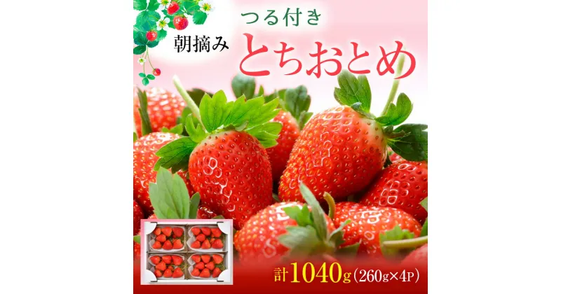 【ふるさと納税】つる付き とちおとめ 4パック（1月中旬～1月下旬発送） いちご 果物 フルーツ 苺 イチゴ くだもの 朝取り 新鮮 美味しい 甘い　お届け：2025年1月15日～1月31日まで