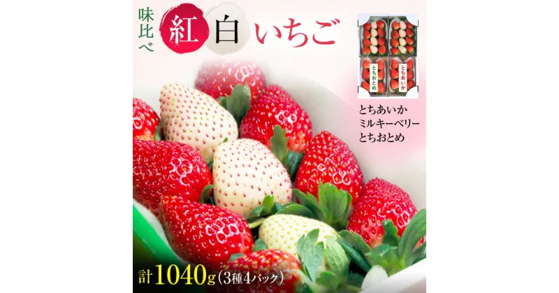 【ふるさと納税】味くらべ紅白いちご 3種 4パック （12月下旬～1月上旬発送） いちご 果物 フルーツ 苺 イチゴ くだもの とちあいか ミルキーベリー とちおとめ 朝取り 新鮮 美味しい 甘い　お届け：2024年12月20日～2025年1月15日まで