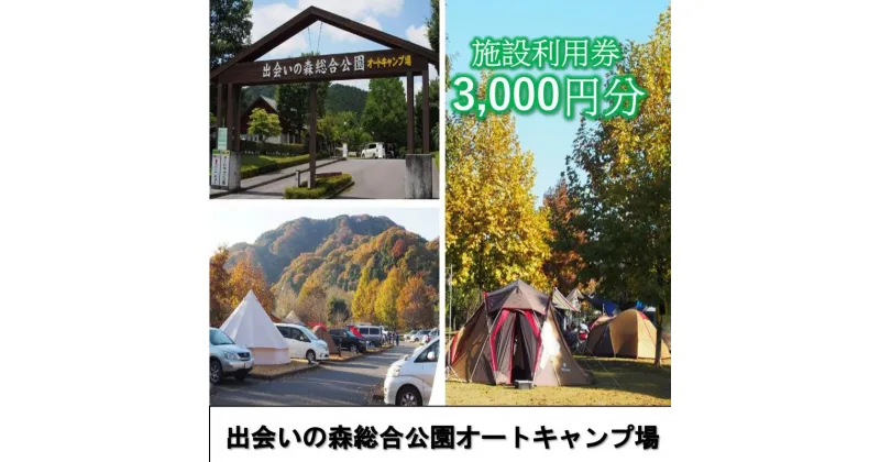 【ふるさと納税】出会いの森総合公園オートキャンプ場で使える 施設利用券 3,000円分 クーポン チケット キャンプ アウトドア 鹿沼市　宿泊券・チケット・入場券・優待券・チケット