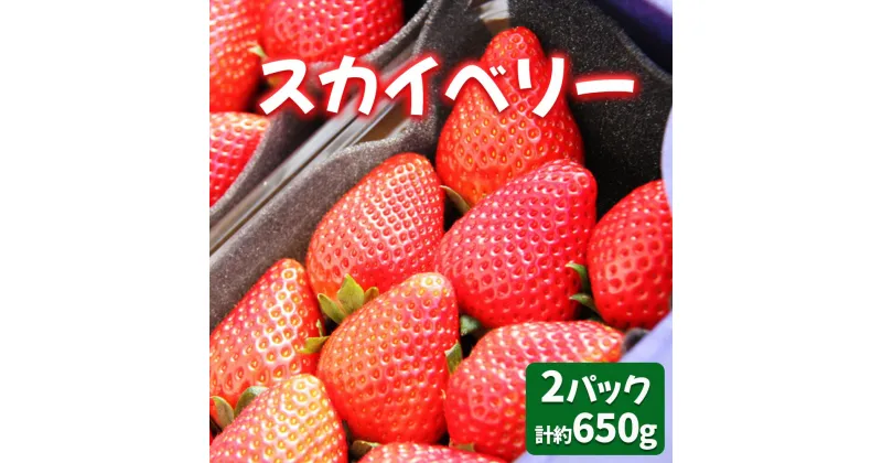 【ふるさと納税】[2025年1月～発送 数量限定]「スカイベリー 2パック」計約650g 贈答用化粧箱入り 約4人分｜いちご イチゴ 苺 果物 日光産 栃木県産 フルーツ 期間限定 先行予約 [0226]