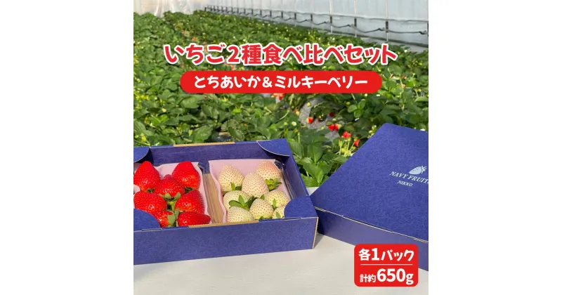 【ふるさと納税】[2025年1月～発送 数量限定] いちご 2種食べ比べセット「とちあいか＆ミルキーベリー」各1パック 計約650g 贈答用化粧箱入り 約4人分｜いちご イチゴ 苺 果物 日光産 栃木県産 フルーツ 期間限定 先行予約 [0229]