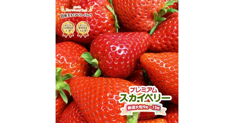 【ふるさと納税】[12月上旬より順次発送] プレミアム『スカイベリー』大粒のみ厳選9粒～15粒詰 約420g｜日光ストロベリーパーク いちご イチゴ 苺 フルーツ 先行予約 [0210]