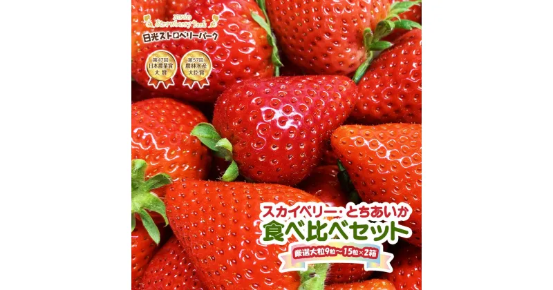 【ふるさと納税】[12月上旬より順次発送] プレミアム『スカイベリー』＆新品種『とちあいか』食べ比べセット 大粒のみ厳選9粒～15粒詰 約420g×2箱｜日光ストロベリーパーク いちご イチゴ 苺 フルーツ 先行予約 [0211]