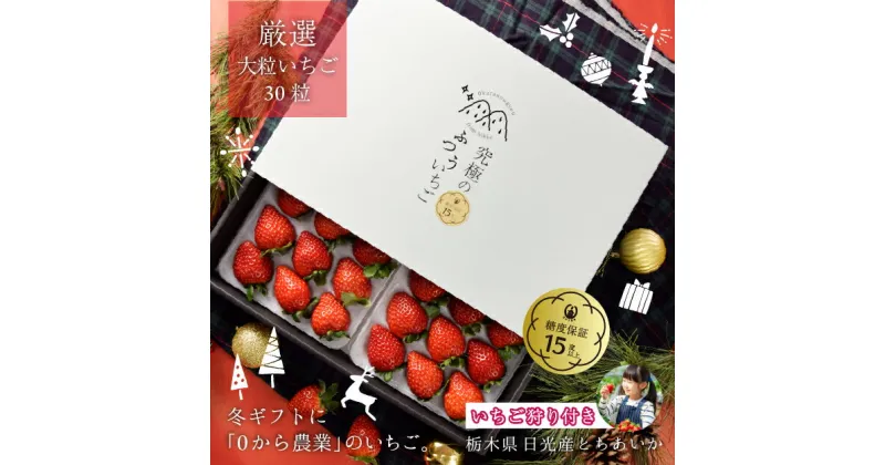 【ふるさと納税】[2024年12月中旬より順次発送] 「究極のふつういちご」厳選大粒とちあいか 30粒入り＋いちご狩りペアご招待券｜とちあいか いちご イチゴ 苺 大粒 果物 果実 いちご狩り 収穫 招待券 チケット 産地直送 日光市産 先行予約 [0420]