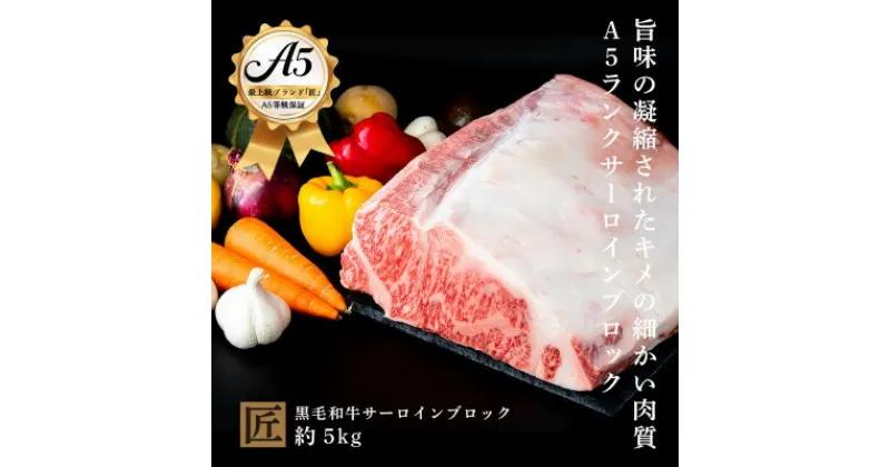 【ふるさと納税】おやま和牛 A5極　サーロインブロック　約5kg【配送不可地域：離島】【1096920】